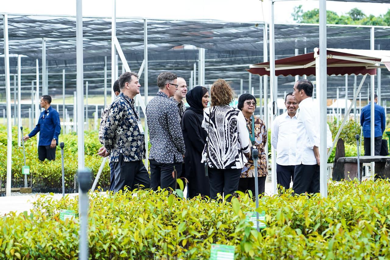 Resmikan Persemaian Mentawir, Presiden Jokowi: Untuk Rehabilitasi IKN dan Sekitarnya