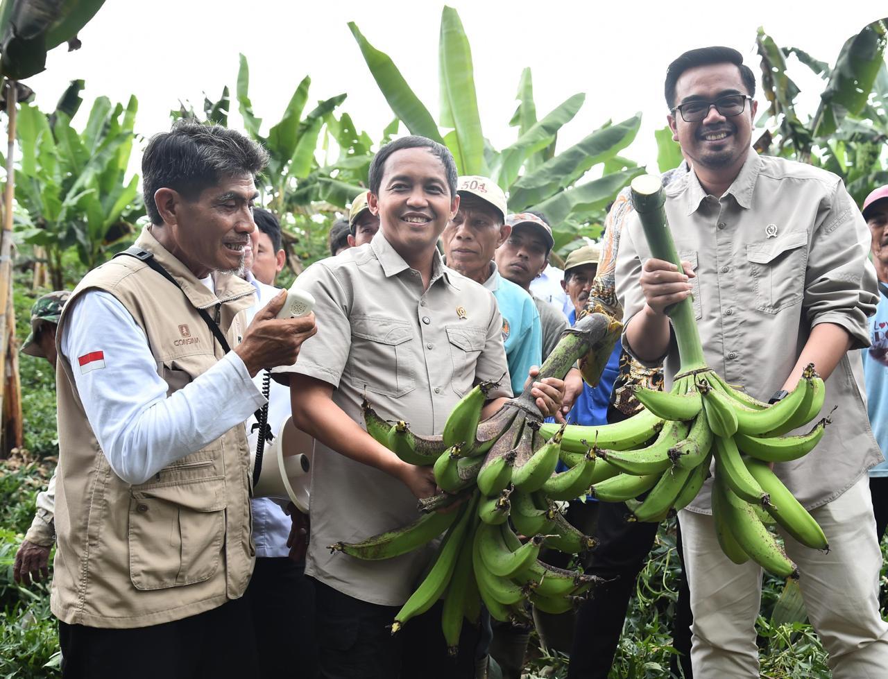 Raja Antoni Kunjungi Lumajang, Pastikan Kontribusi Perhutanan Sosial pada Rantai Pasok Pangan Nasional