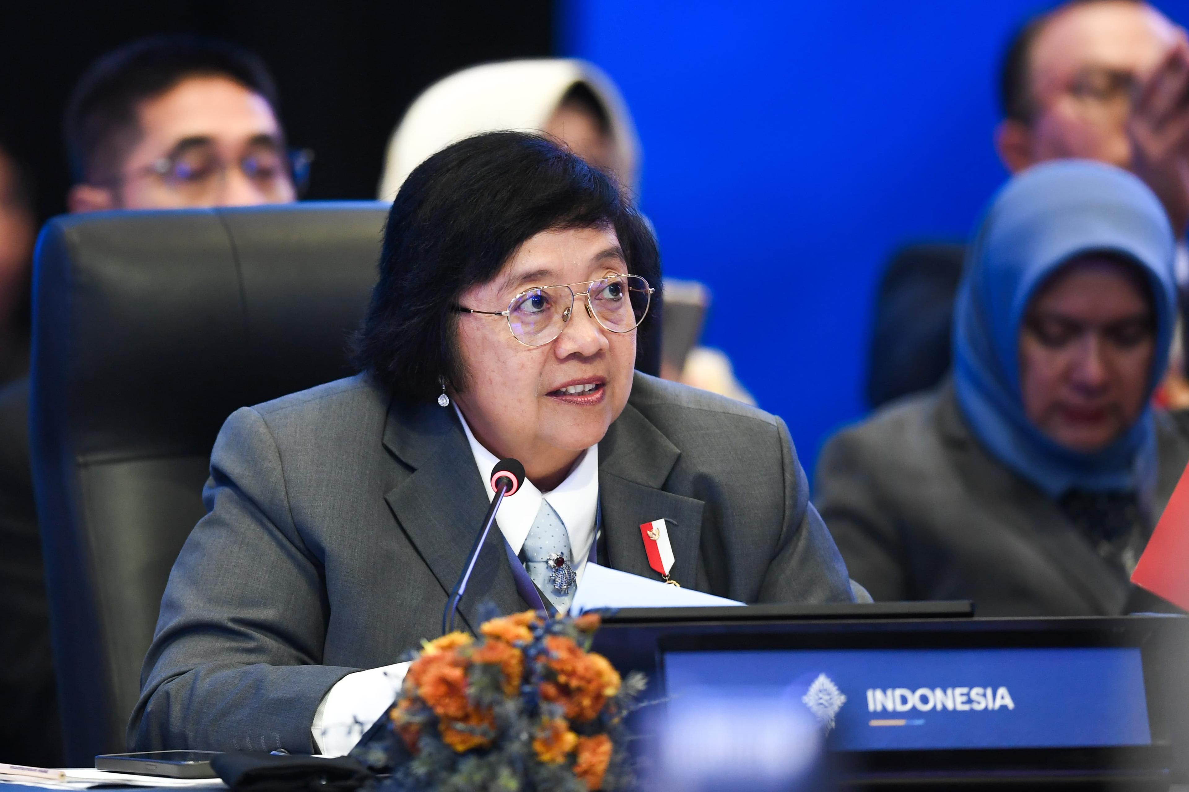 Kekuatan Hutan Menjadi Modal Negara AIS Cegah Perubahan Iklim