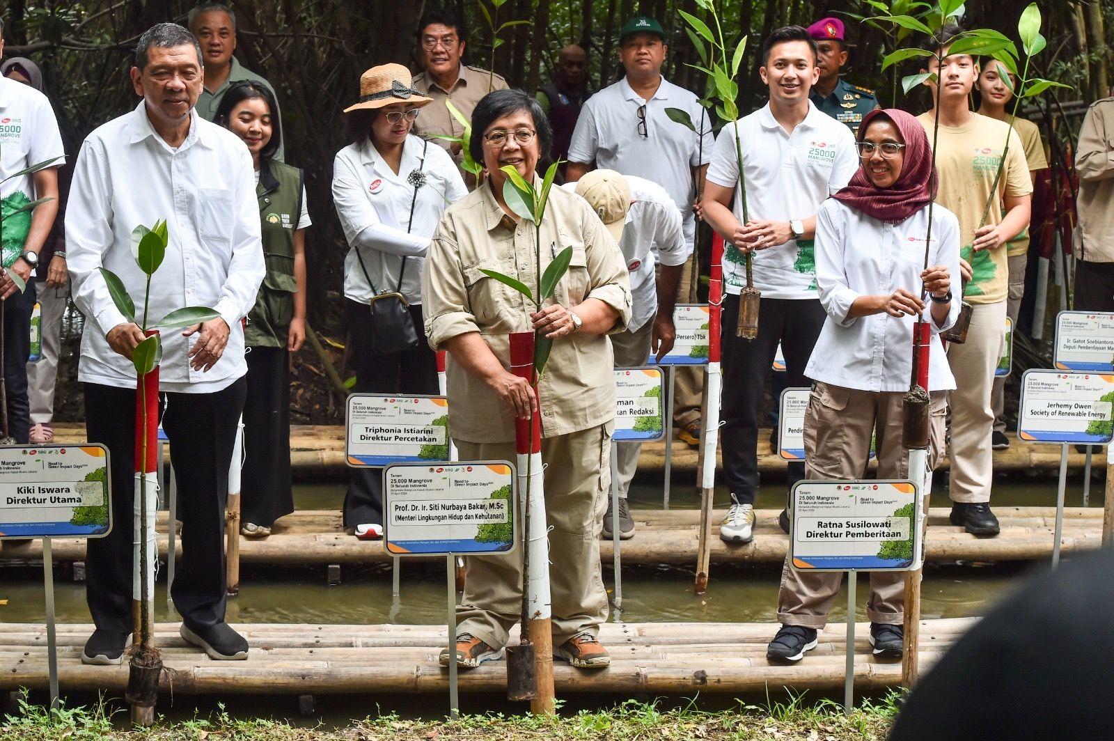 Tanam Serentak 25.000 Mangrove Di 25 Lokasi Seluruh Indonesia Inisiatif Media Untuk Mitigasi Iklim