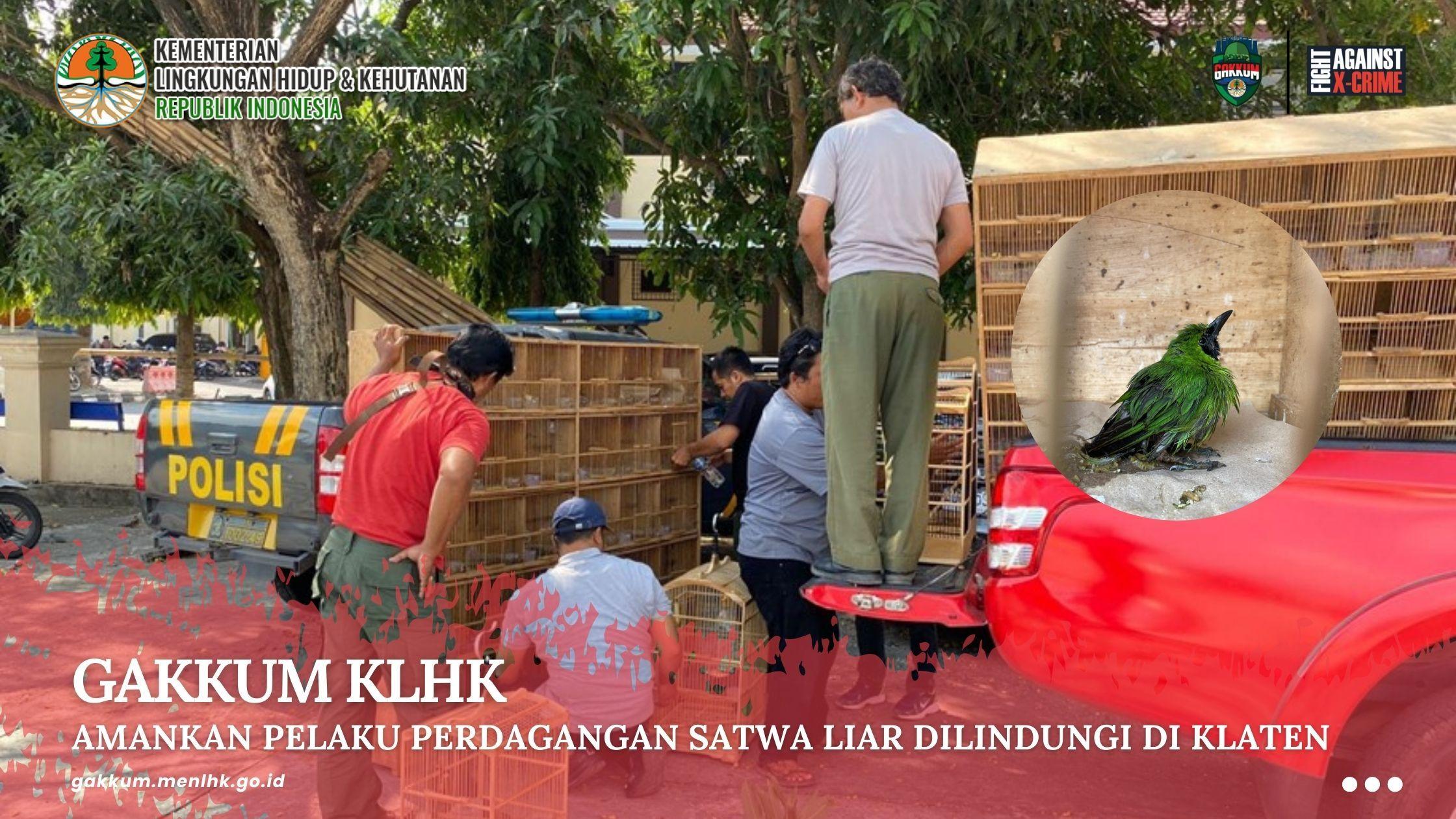 Gakkum Klhk Amankan Pelaku Perdagangan Satwa Liar Dilindungi Di Klaten