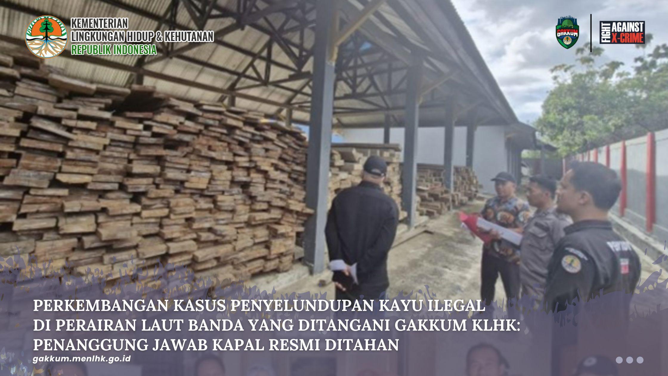 Perkembangan Kasus Penyelundupan Kayu Ilegal Di Perairan Laut Banda Yang Ditangani Gakkum KLHK: Penanggung Jawab Kapal Resmi Ditahan 