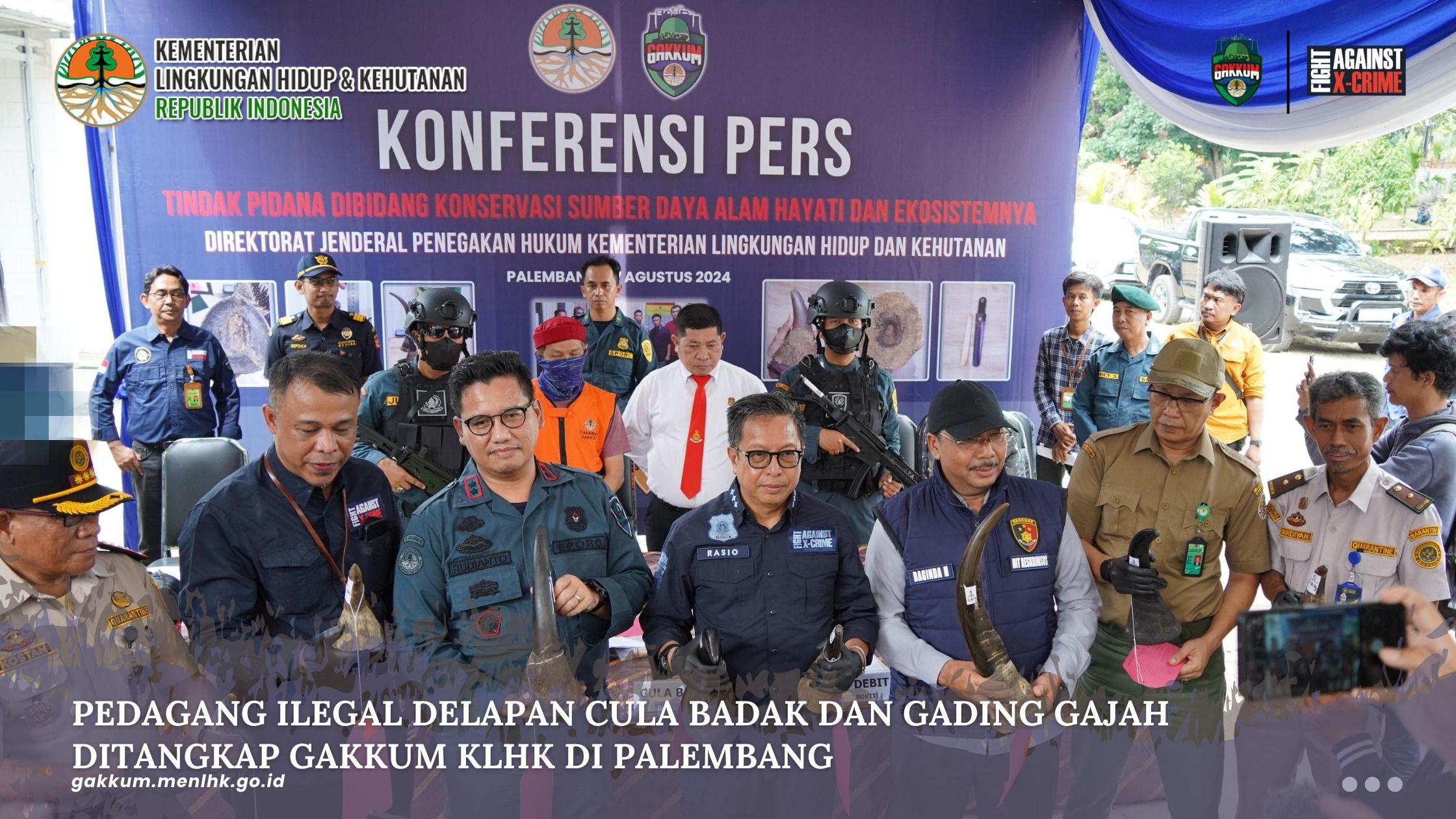 Pedagang Ilegal Delapan Cula Badak Dan Gading Gajah Ditangkap Gakkum KLHK Di Palembang