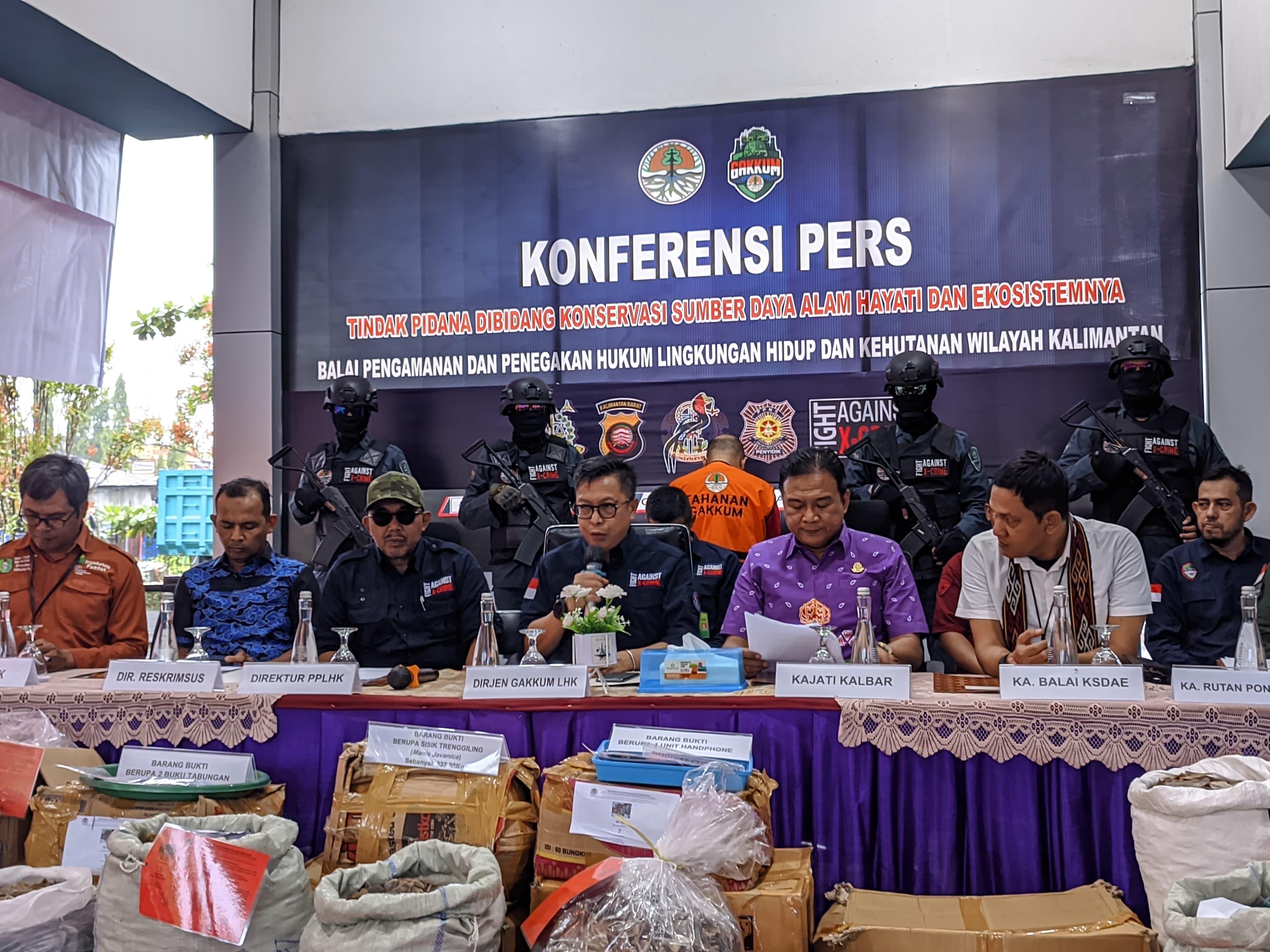 KLHK dan Polda Kalbar Bongkar Jaringan Penyelundup Sisik Trenggiling