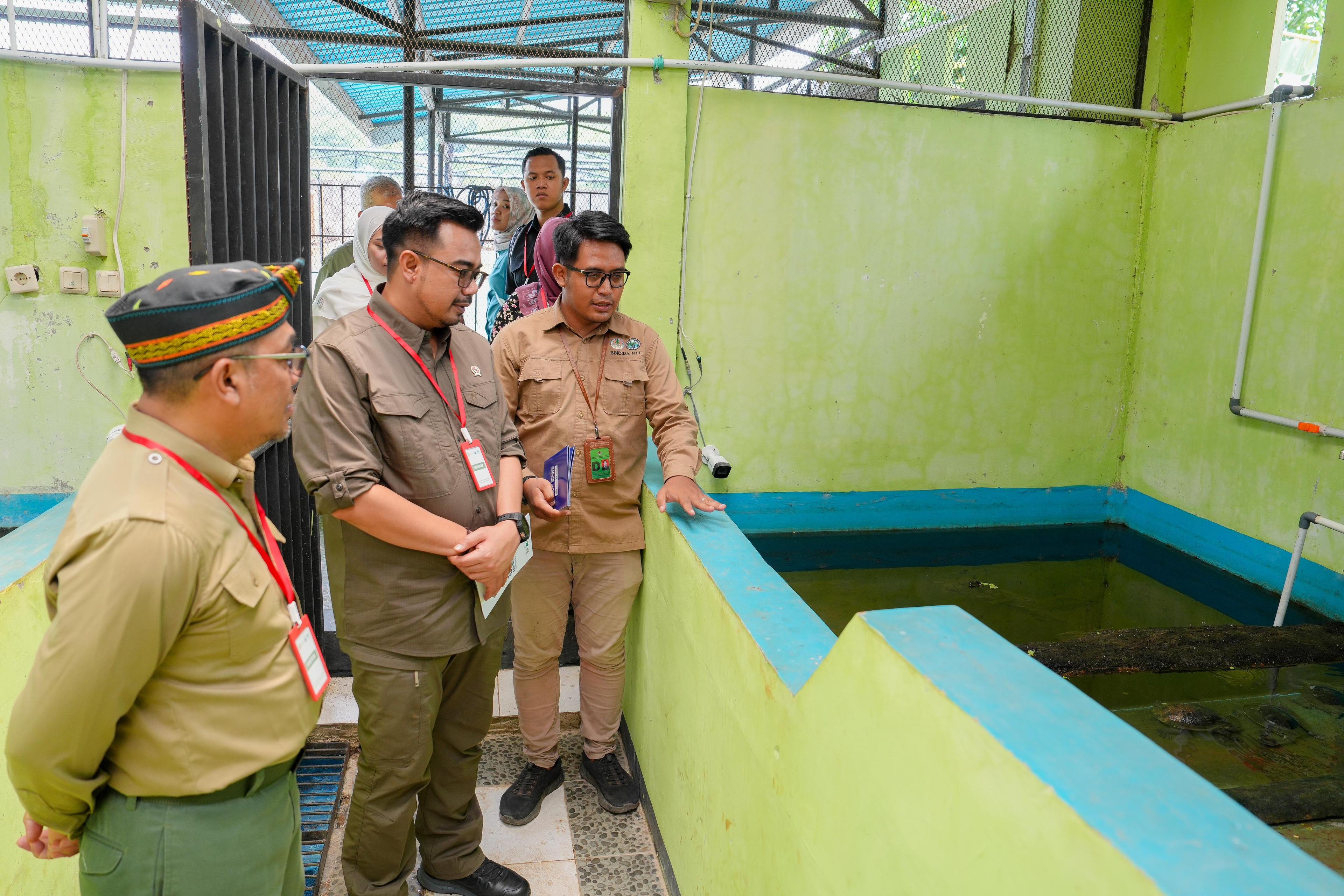 Wamenhut Dukung Kerjasama Para Pihak Jaga Kura-Kura Leher Ular Rote dari Kepunahan
