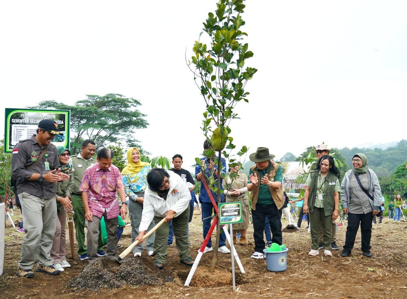 KLHK Tanam Pohon Serentak di 38 Provinsi Seluruh Indonesia