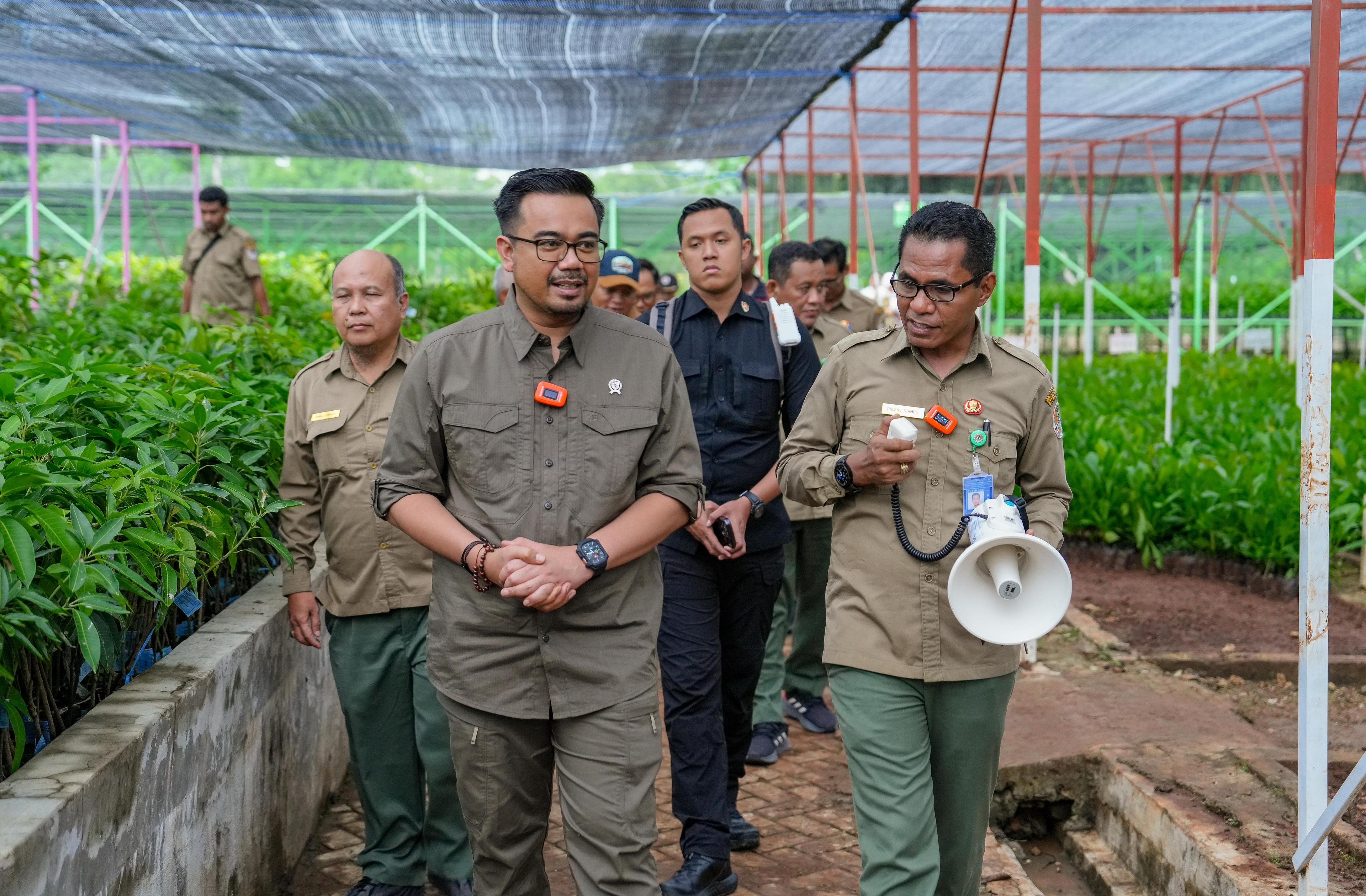 Wamenhut: Bibit Persemaian, Gratis Untuk Masyarakat