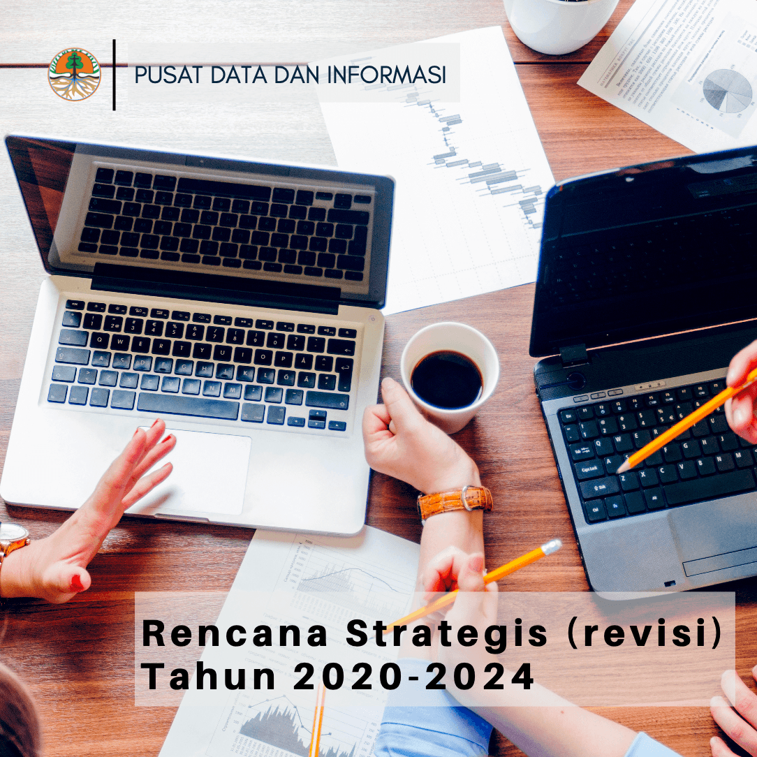 RENSTRA (revisi) Pusdatin 2020-2024